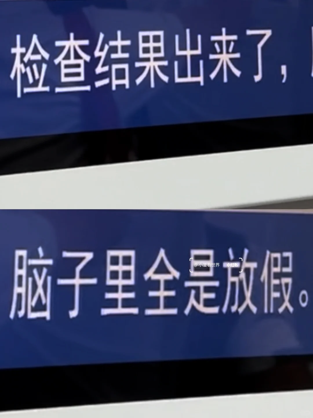 厦门树洞好癫好好笑啊哈哈哈哈哈