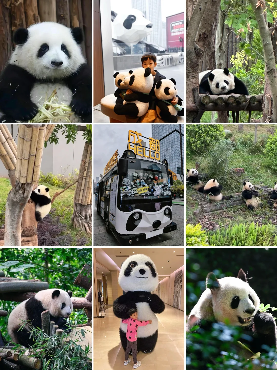 听劝‼️成都熊猫基地🐼带娃这样玩儿，省力✅