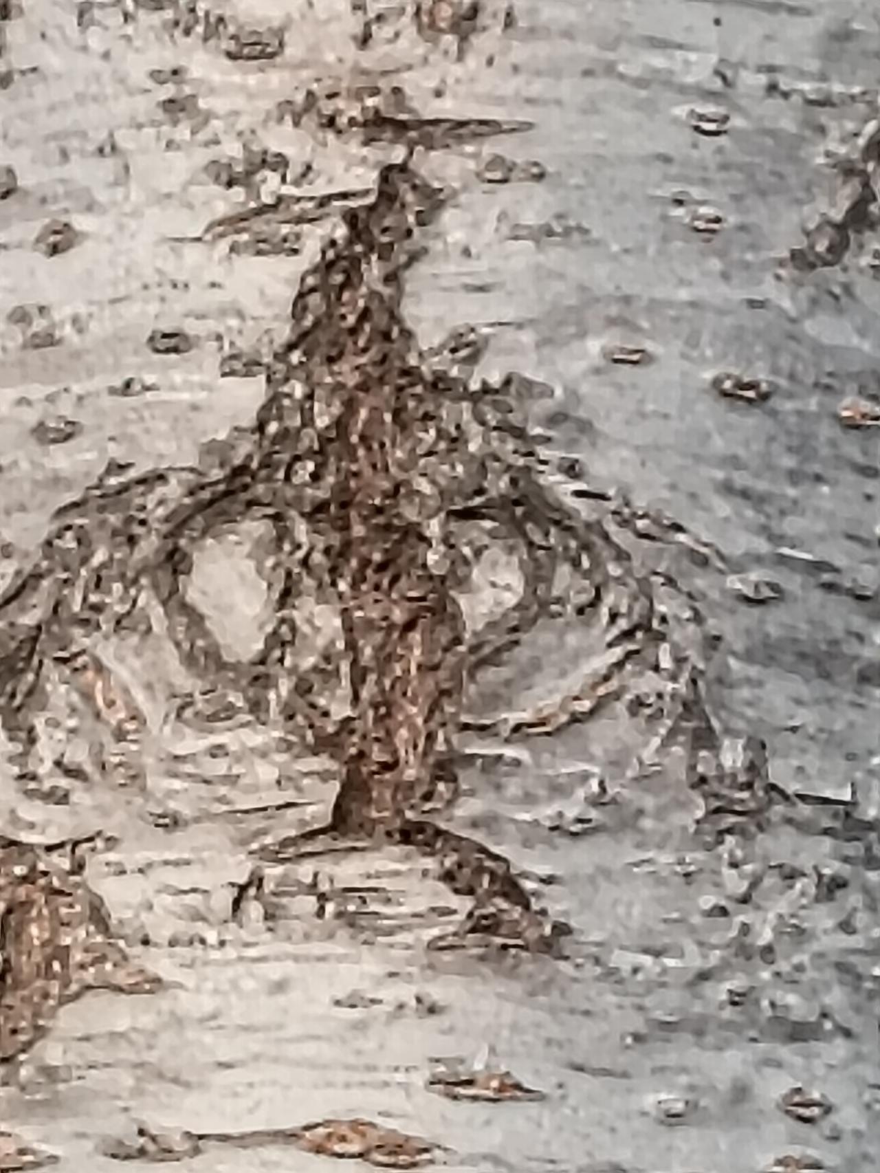 有什么东西看不见但很重要大自然中有许多密码，你都知道多少？五花八门的东西是不是让