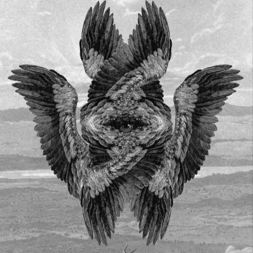 【【密恐预警】】黑眉燕鵙（jú）为抵御严寒聚集在一起（图1-4）看起来就像《启示