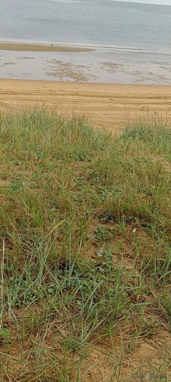 男足的优点当然正是体现了我们如今正在全力推广的友善和谐，谦虚大度和温良恭俭让的美