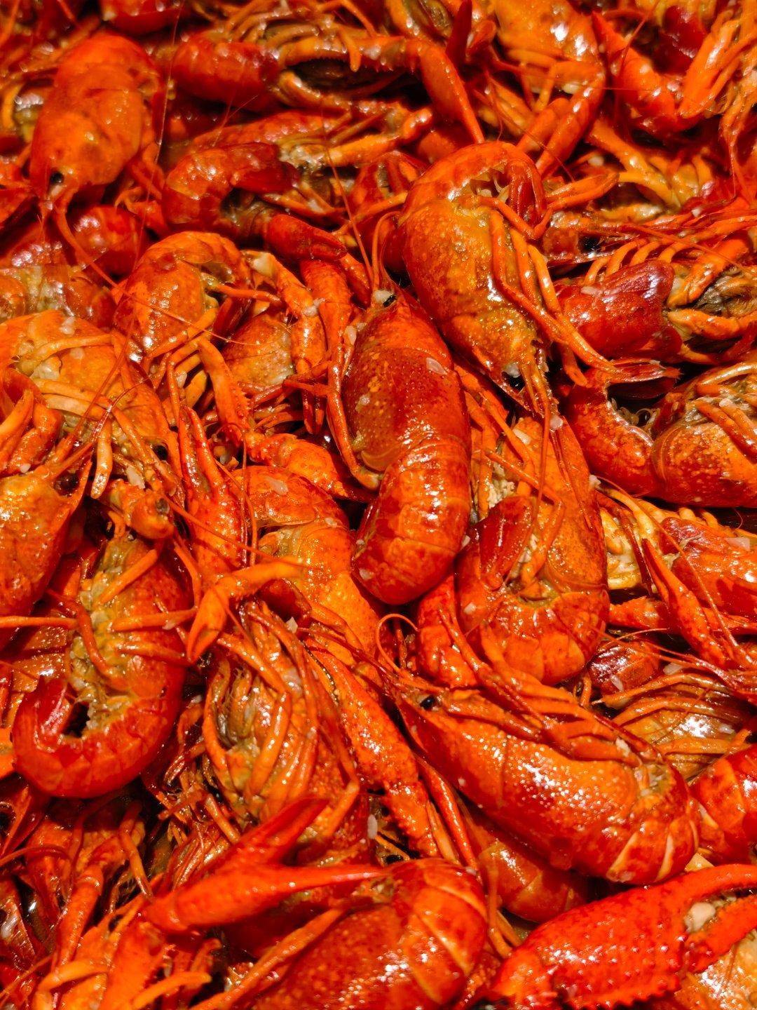 已经没什么人「养龙虾」了吧？现在确实是吃小龙虾的季节🦞 