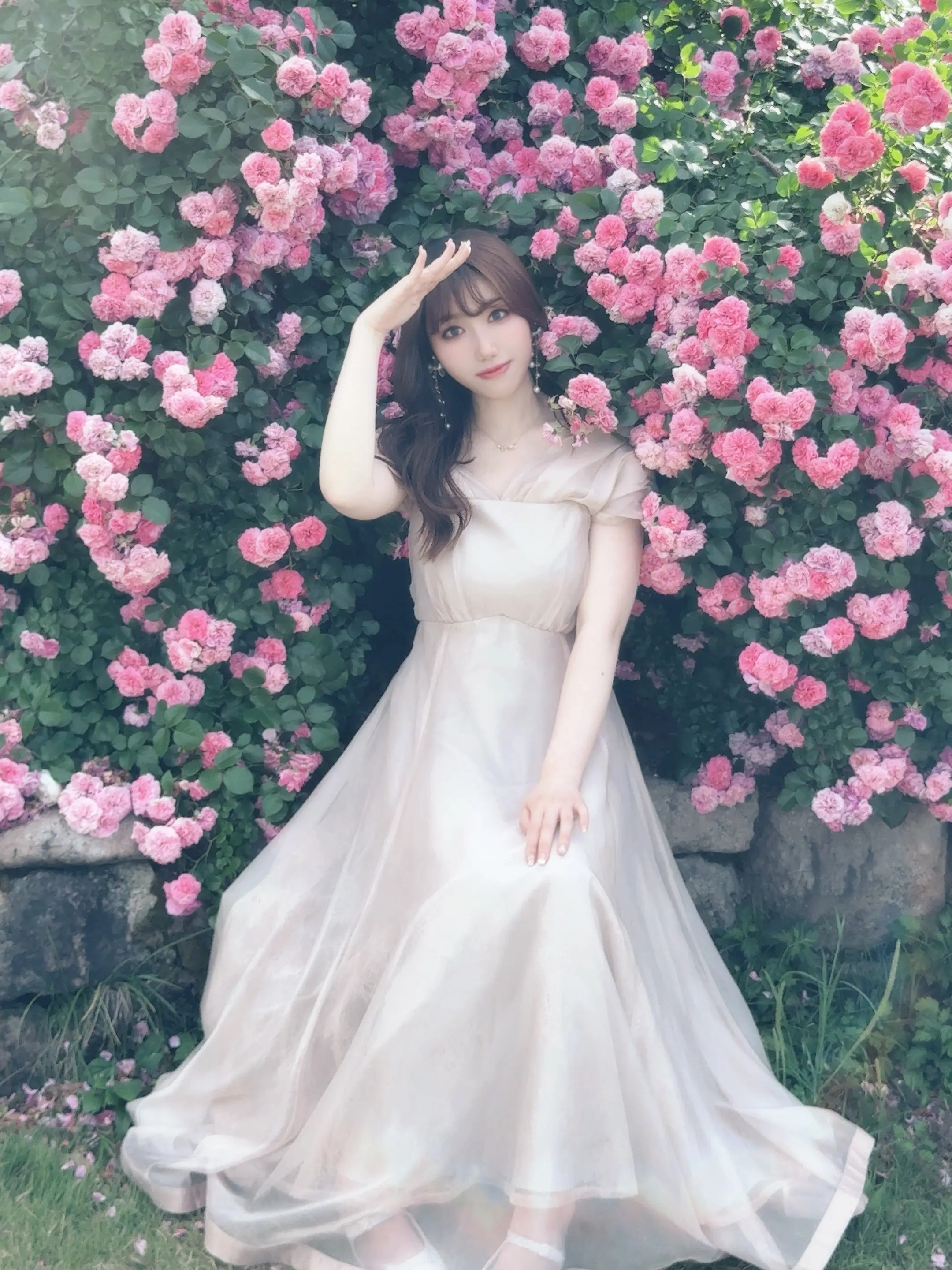 误入玫瑰园🌹。