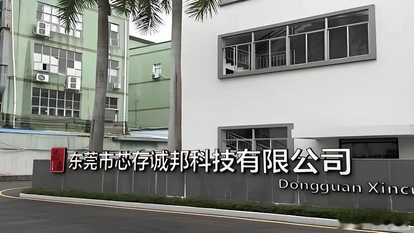 存储新贵诚邦股份，超级赛道的蒙尘明珠很多人不知道诚邦股份是正宗的存储芯片股，这里