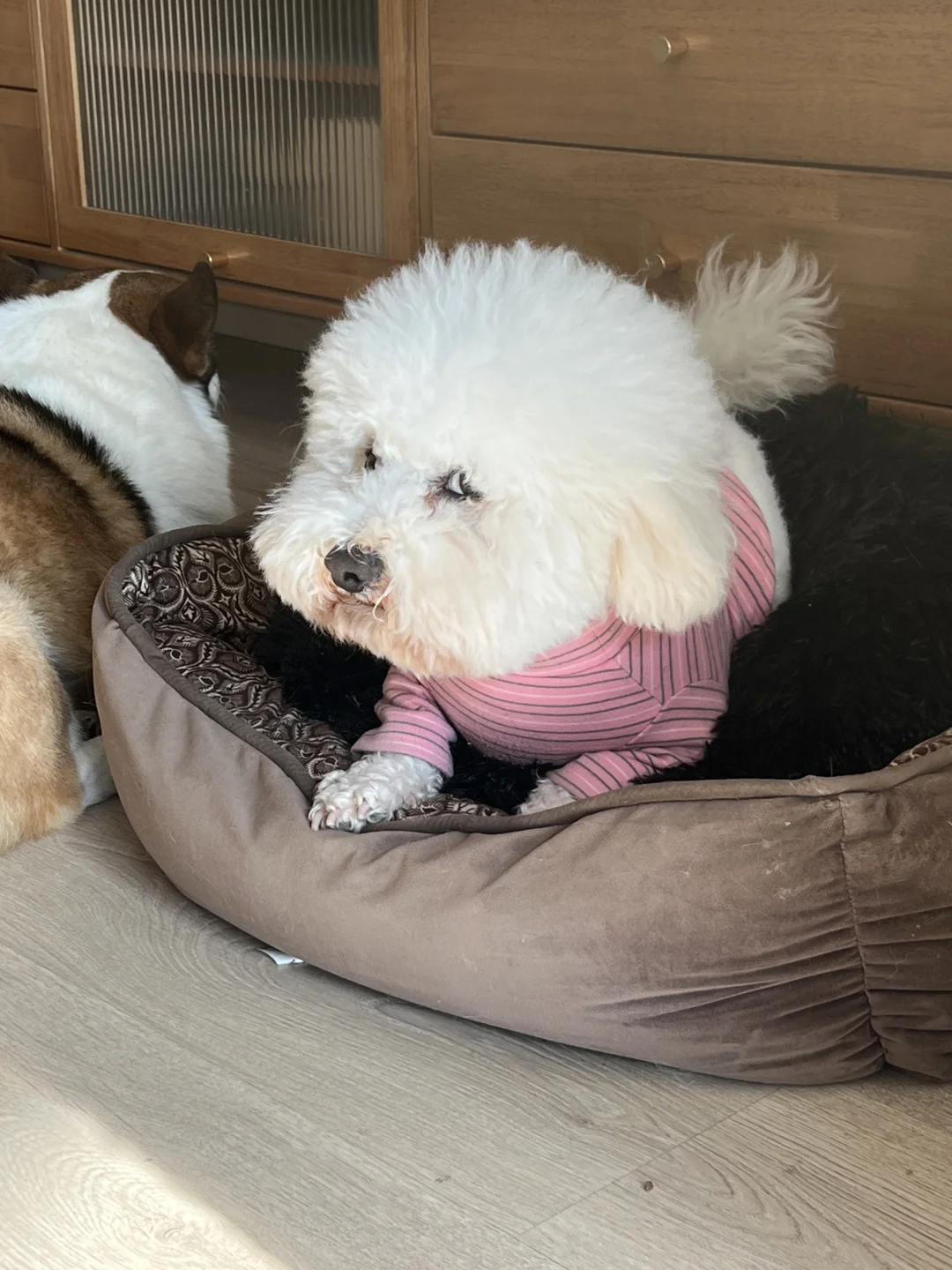 别爱我，我就是个坏男人！