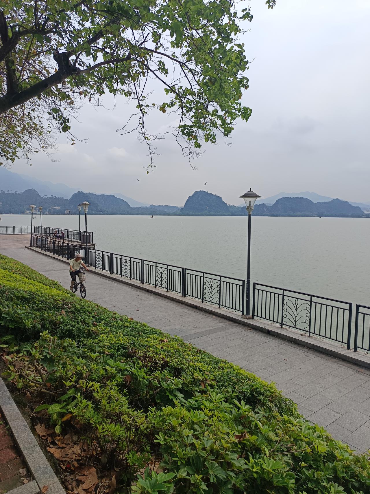 我终于知道了
为什么星湖有这么多麻鹰
却怎么见不到白鹤？




你敢相信吗？这