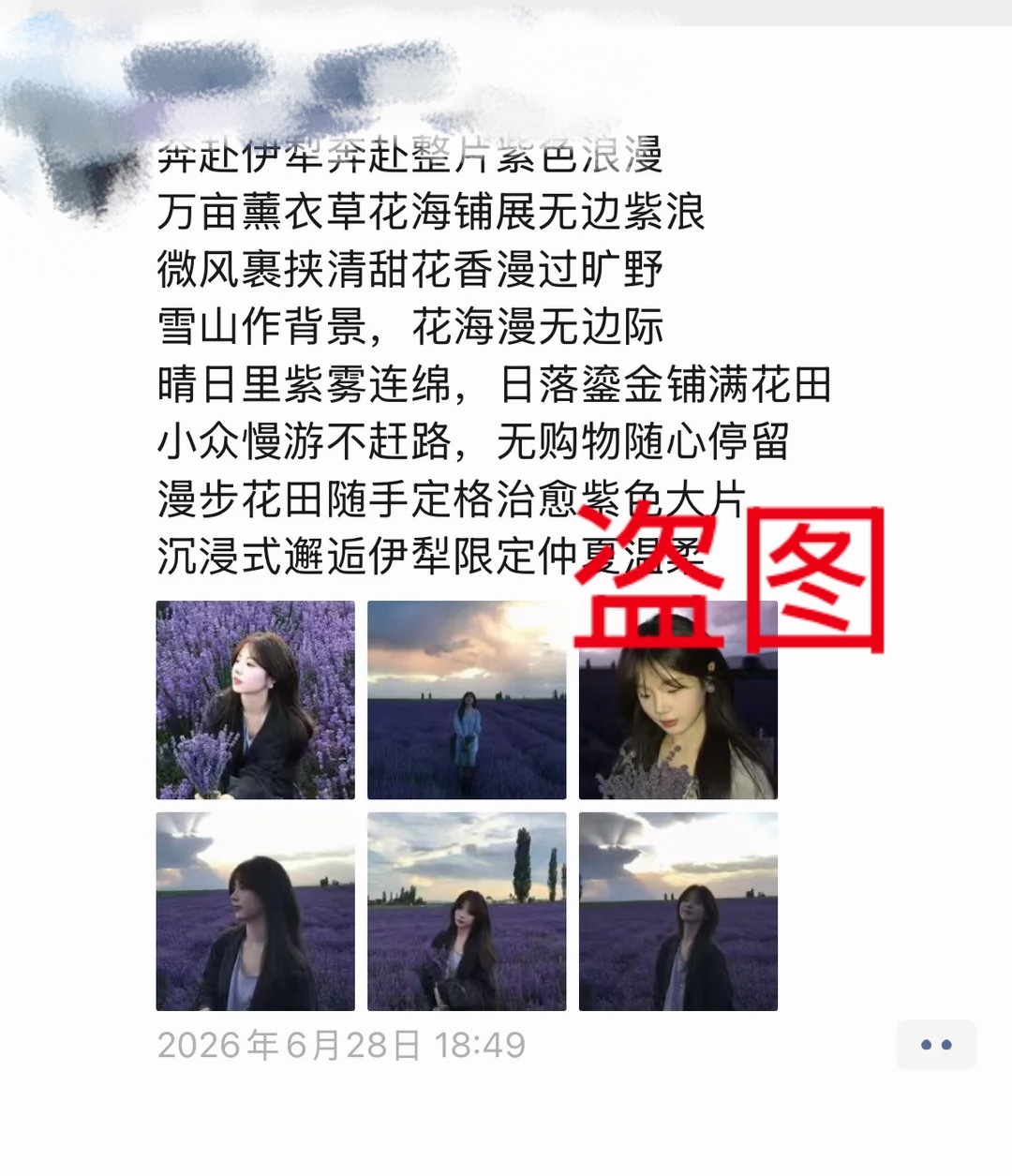 我们去新疆是自由行哟 有很多旅行团盗图说我是跟他们的 大家不要相信‼️ 