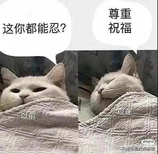 解说杯队长实力排名，绝对公正客观，同时参考绝对实力和比赛影响力
t0只有一个，大