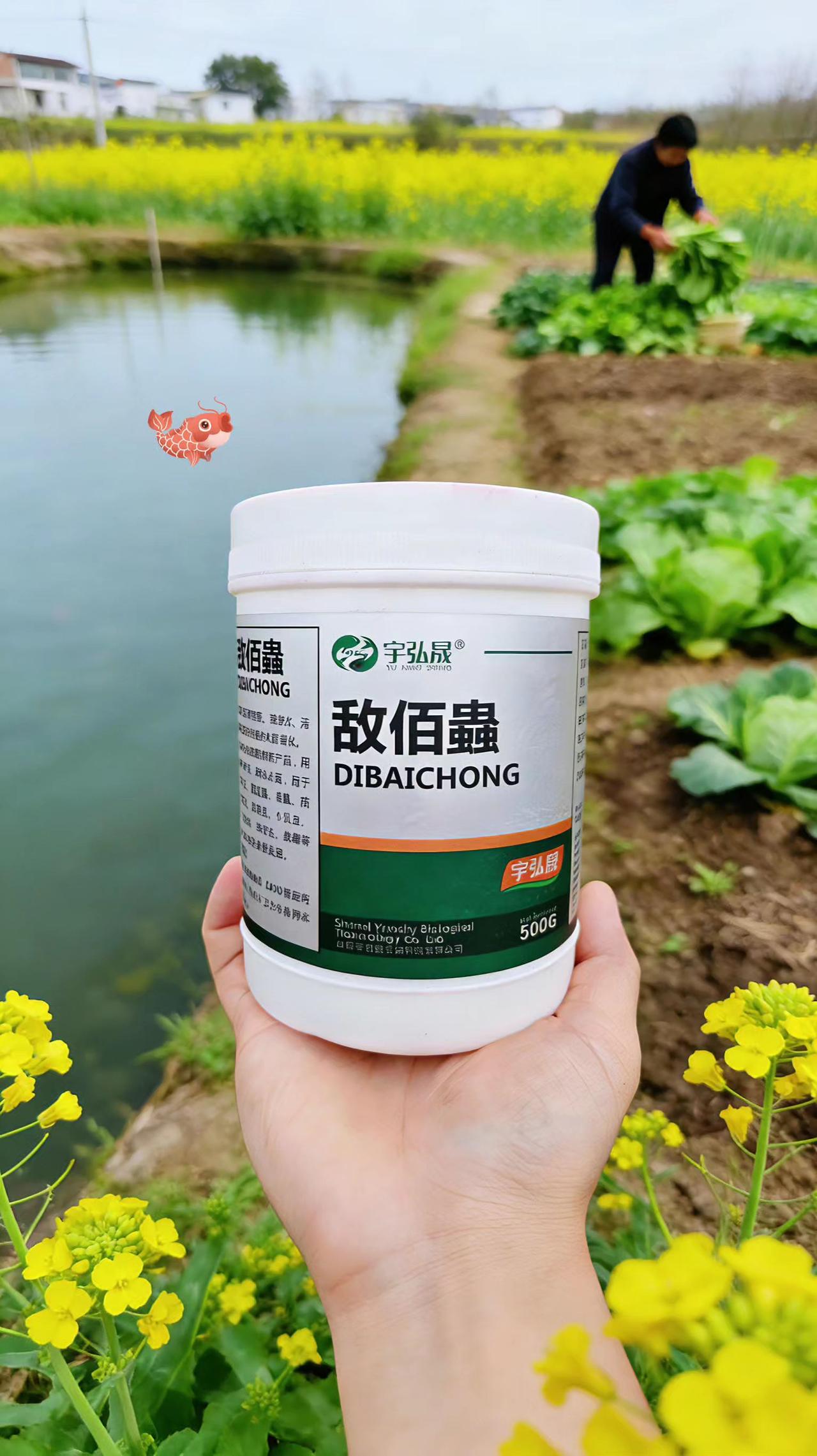 敌佰蟲 鱼塘养殖 鲢鱼 鲤鱼 草鱼