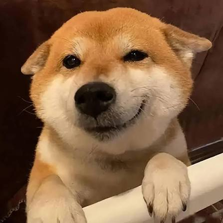 今天的token烧的也是发不出来的样子……毕竟都掉水里了。 
