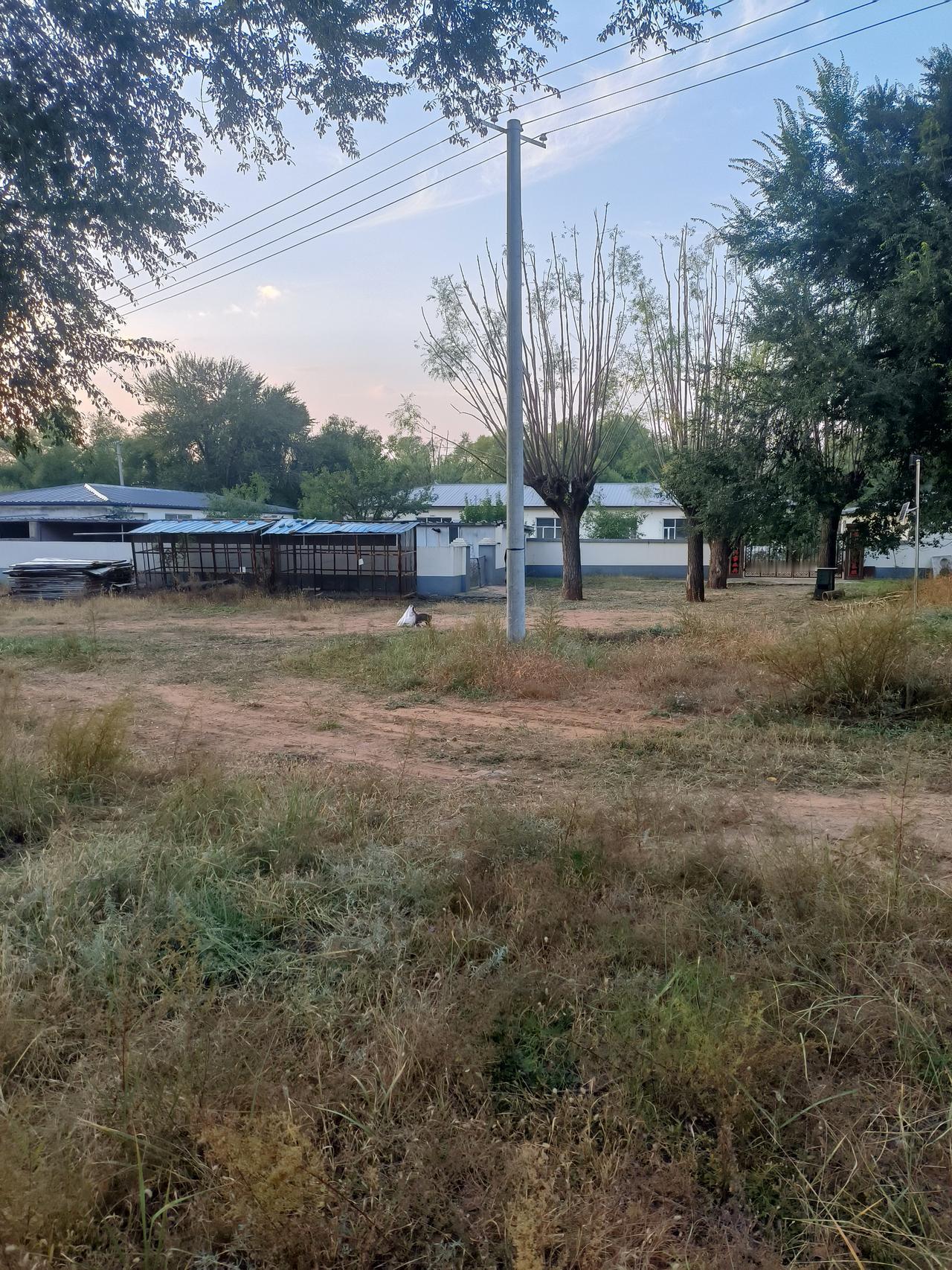 又到中秋月圆前，又勾起了我深深的思念。八月十四日，是父亲的生日。以前这一天，我都