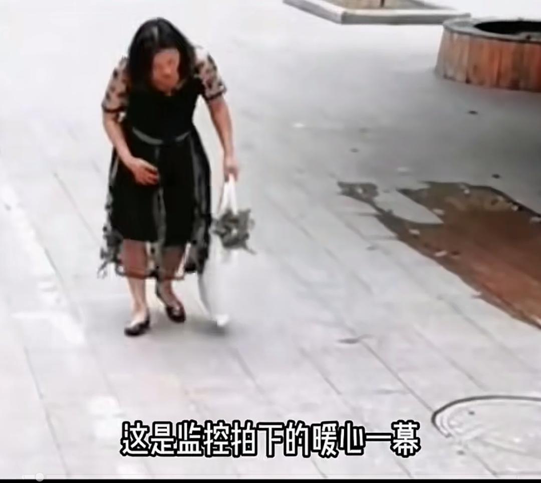 全网都在寻找这个男孩！监控下拍到的这一幕温暖了全网！
       从视频中看到