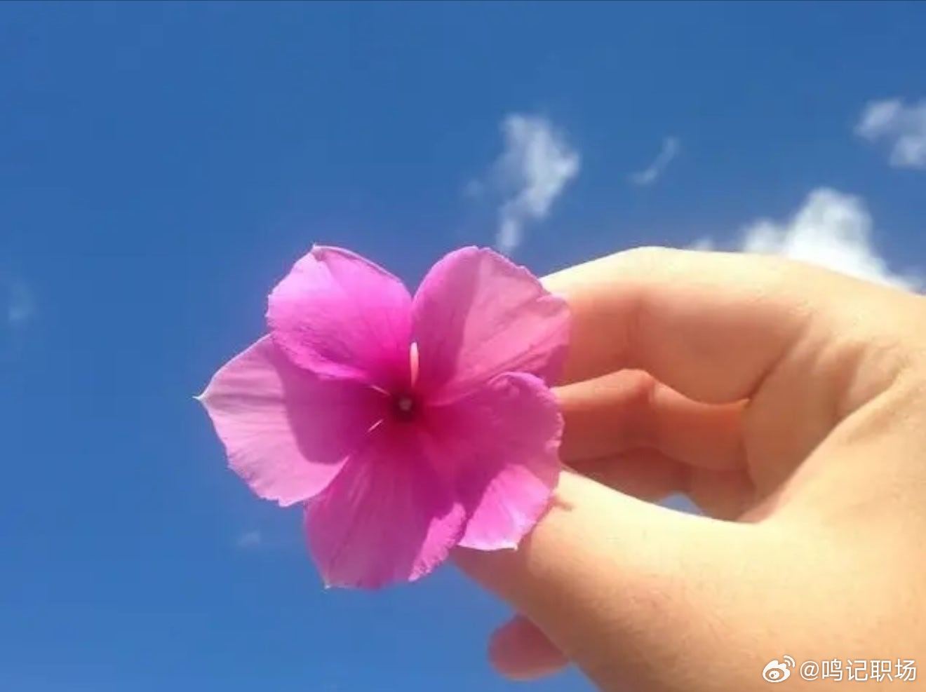 合适的距离，是各自安稳，也是彼此尊重。不打扰，是一种分寸；不过问，是一种体谅。留