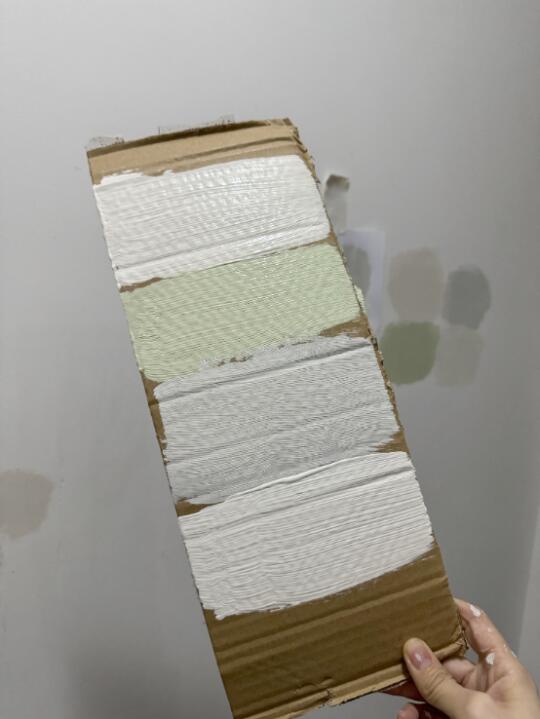 热门乳胶漆试色，装修的看过来啦
