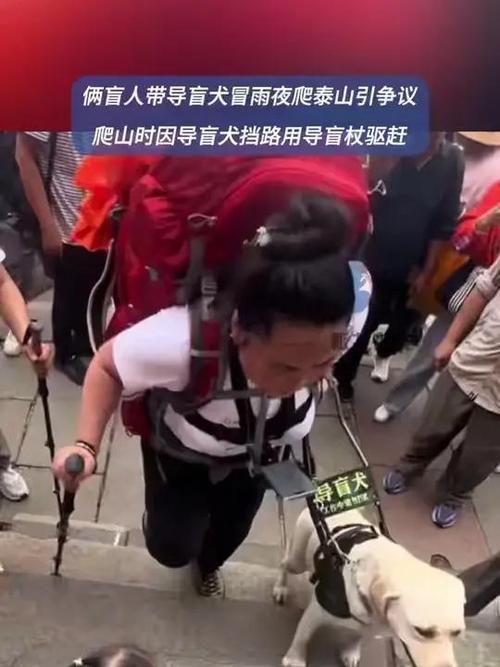 爬泰山的盲人夫妻被制裁！导盲犬被收回，身份被扒，家里还有一只
网友感叹：心理的残