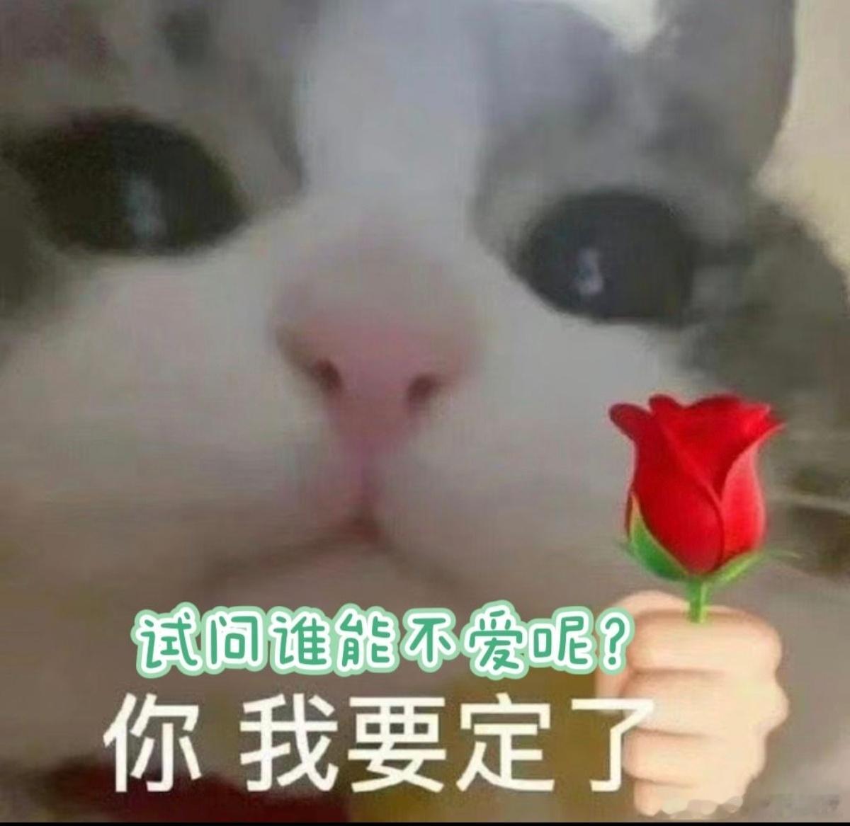 余承东宣布鸿蒙5终端设备超2000万 从开发时的变数到现在的规模，两个月设备量就