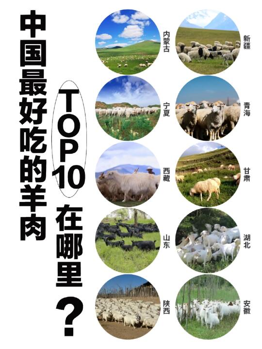 中国羊肉地图大赏！这8款神仙羊肉馋哭我了😭