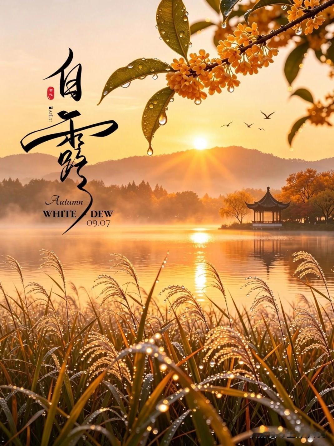 🍂今天周一，恰逢白露节气，秋露凝清，新周向阳。
 
 
暑气慢慢褪去，秋风徐徐