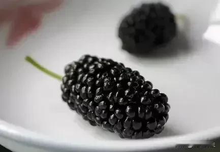 春天最适合男性吃的3-5个补品（重点推荐）

春季养生核心是“顺阳、疏肝、健脾、