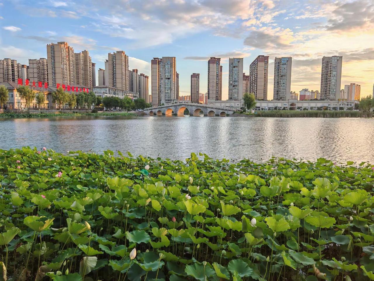 云梦，梦泽湖晚霞荷花。2026年7月5日，美不胜收梦泽湖！城市风光 @祥云湾文化