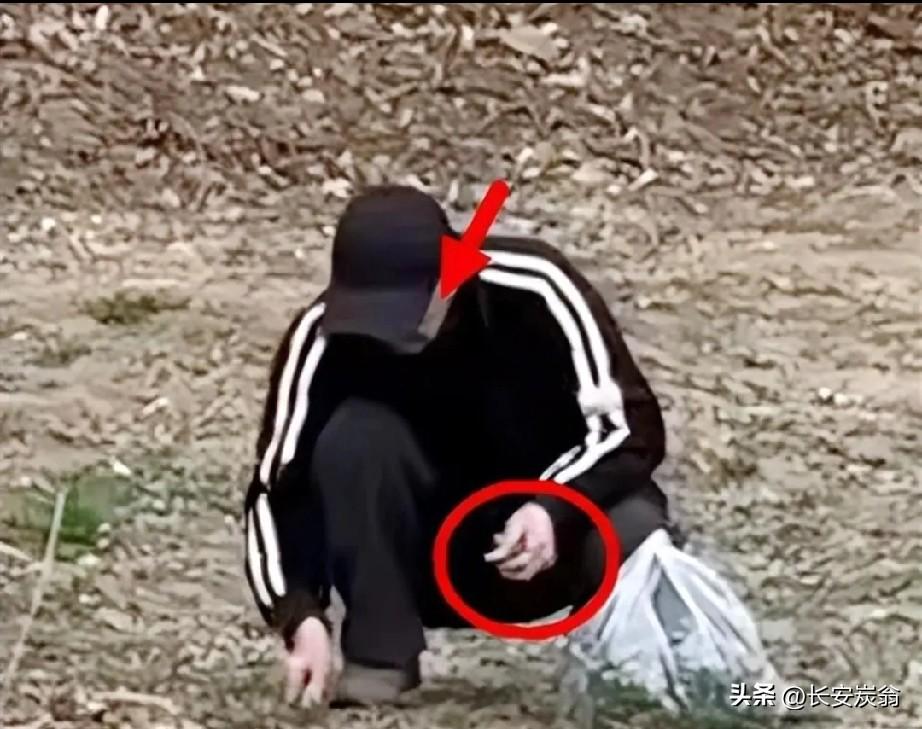 张艺谋挖野菜居然上了热搜，不少网友表示不能理解:妈呀，身价千万的大导演竟然靠挖野