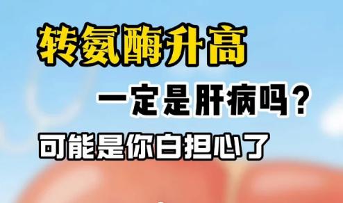 转氨酶升高不一定就是肝病！
很多人拿到体检报告，看到转氨酶升高就慌了，担心自己得