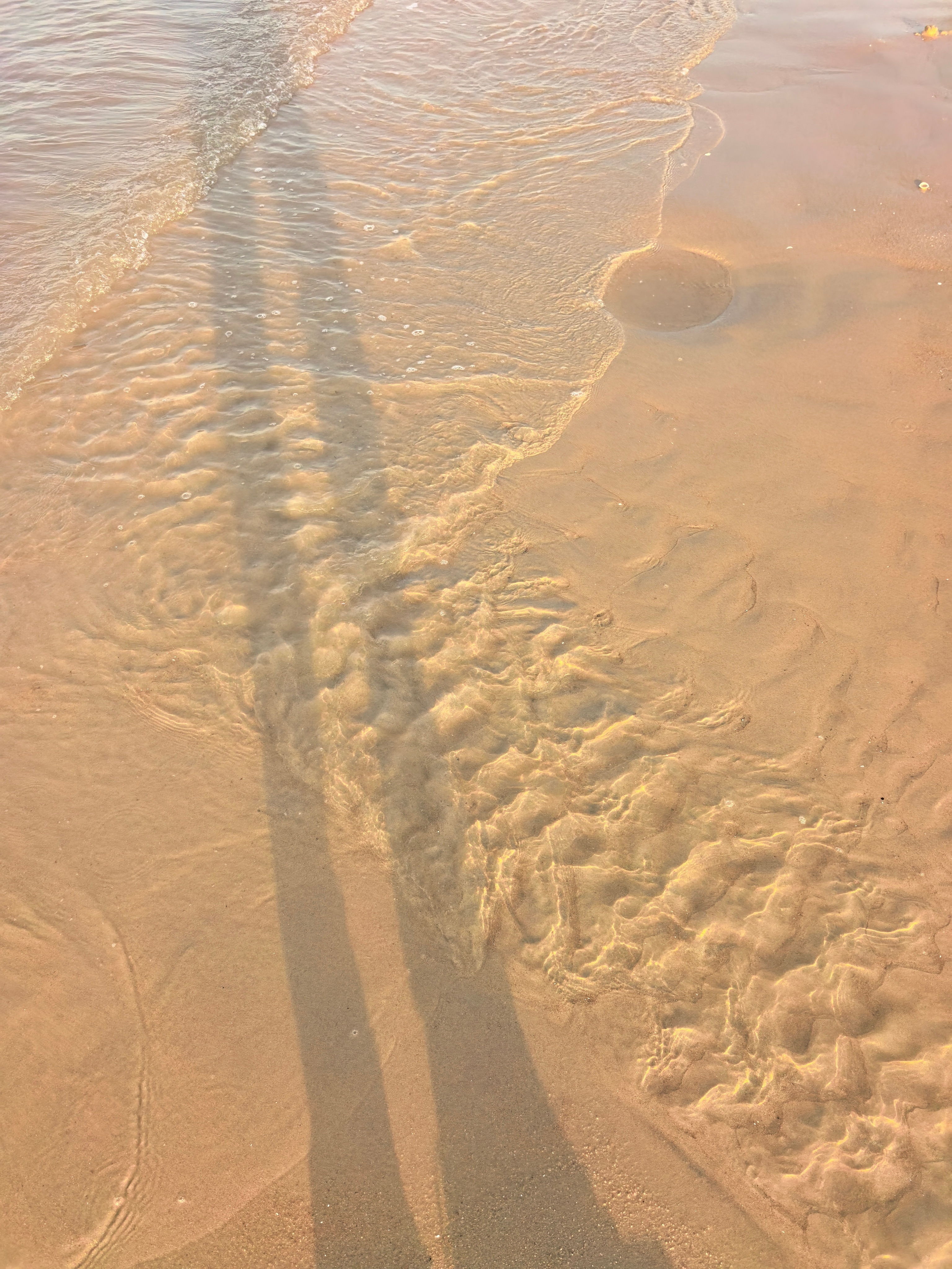 一下午的收获自己赶海虽然累点而且可能半天也挖不上来多少但是看着这满满小半桶的海肠