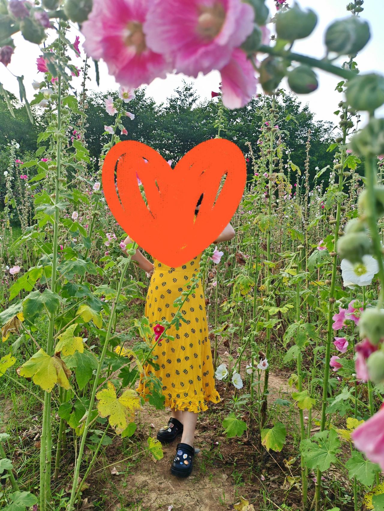 我夏天的居家服都是外穿衣服淘汰下来的，物尽其用也挺好。