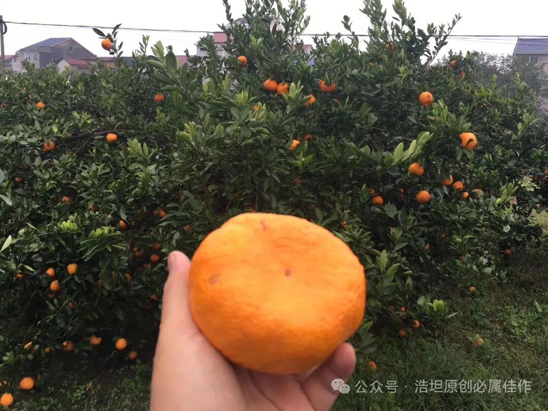 外貌决定有没有可能在一起，性格决定适不适合在一起，物质决定能不能稳定的在一起，信