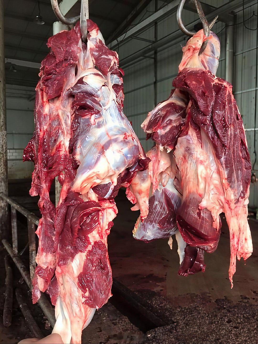 东阳身边事 天气凉了，东阳美食界三大硬菜经常被放在一起比较：千祥白皮羊肉、上卢红