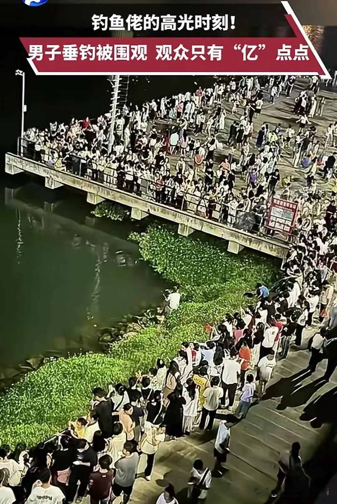 钓鱼佬的高光时刻！这场面鱼不上钩都对不起在场的乡亲父老，这要是跑一条鱼不得丢死个