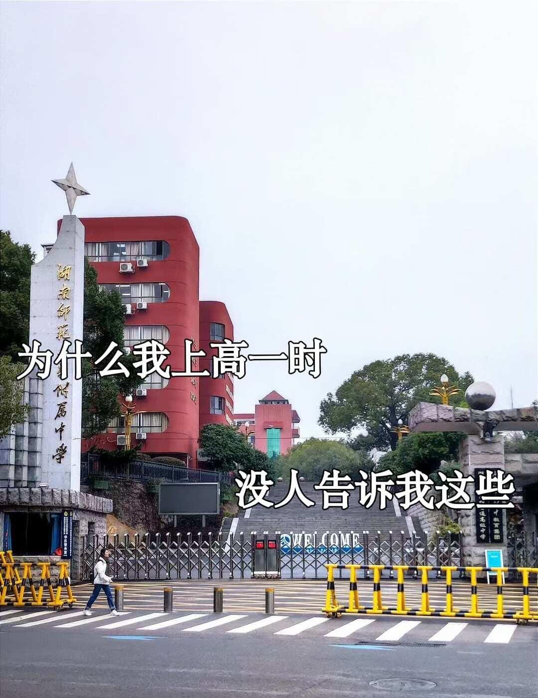 为什么我上高中时没人告诉我这些？高校报考指南 学习技巧 快速提分 学习经验 高考