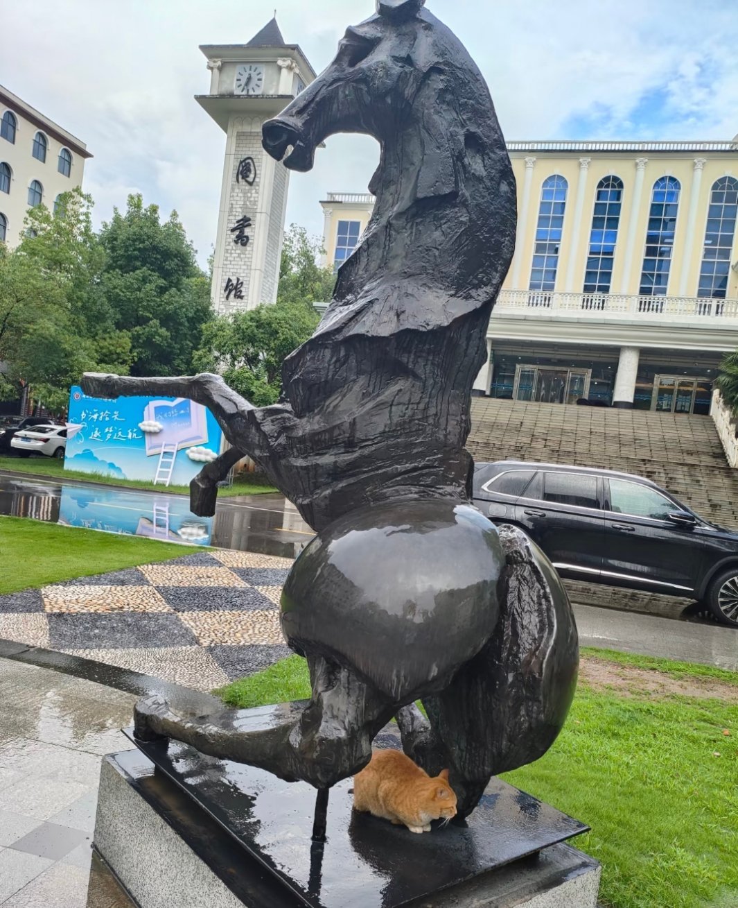 一下雨学校的马就会便便它叫呆呆，应该是怕水所以呆在马屁股下 