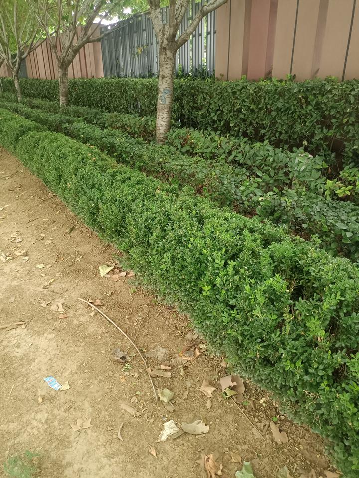 醍醐灌顶的话：“想要活得久一点，过得快活一点，第一重要的就是你不能有道德洁癖。一