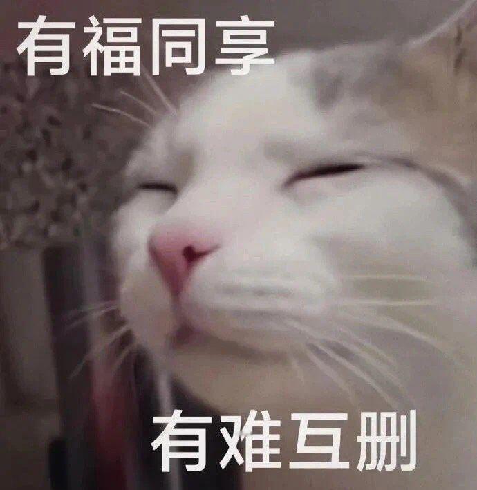 表情包[超话]有福同享，有……emmm……黑猫心情相当的重杂啊…… ​​​