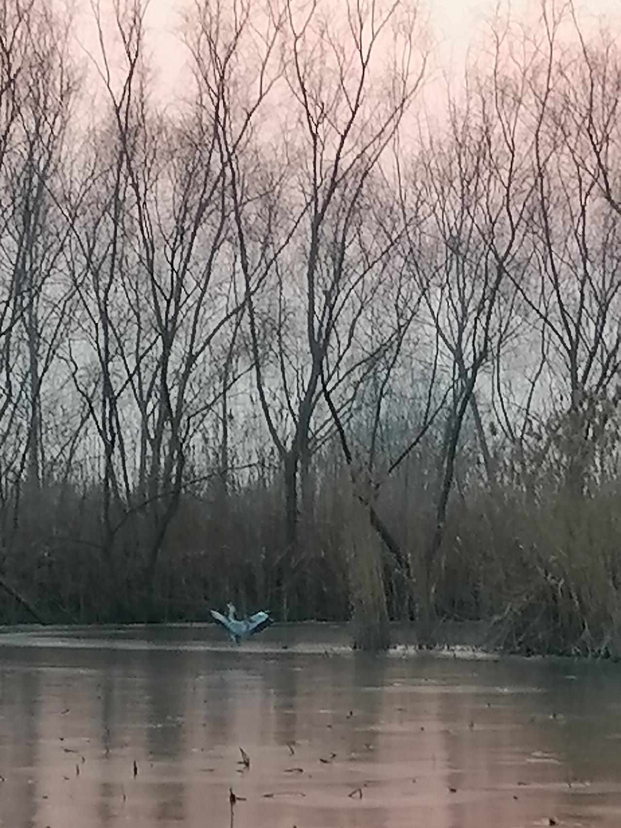 妈妈去世三天后，根据当地世俗，召开追悼会后即入土为安。从此世上再也没有妈妈了。哭