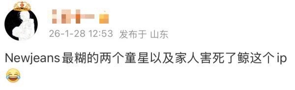 hanni粉丝说团内最胡的两个人毁了newjeans？是指背刺咖hyein和da