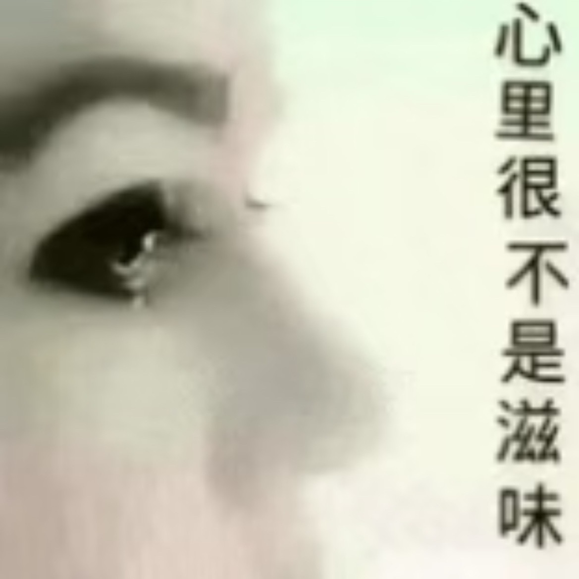 入青云当年要是有雀骨一半的剧宣程度我也知足了…… 