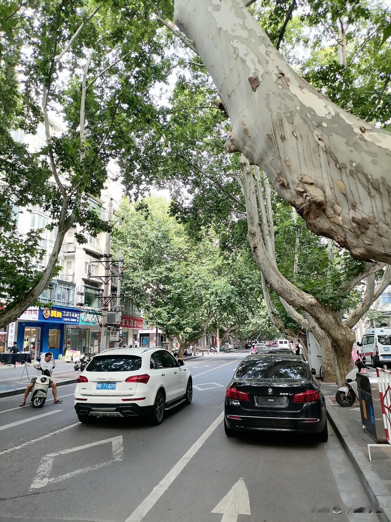 时光荏苒，夏秋之交已经显现的非常明显。真可谓“云天收夏色，木叶动秋声”。知秋时节