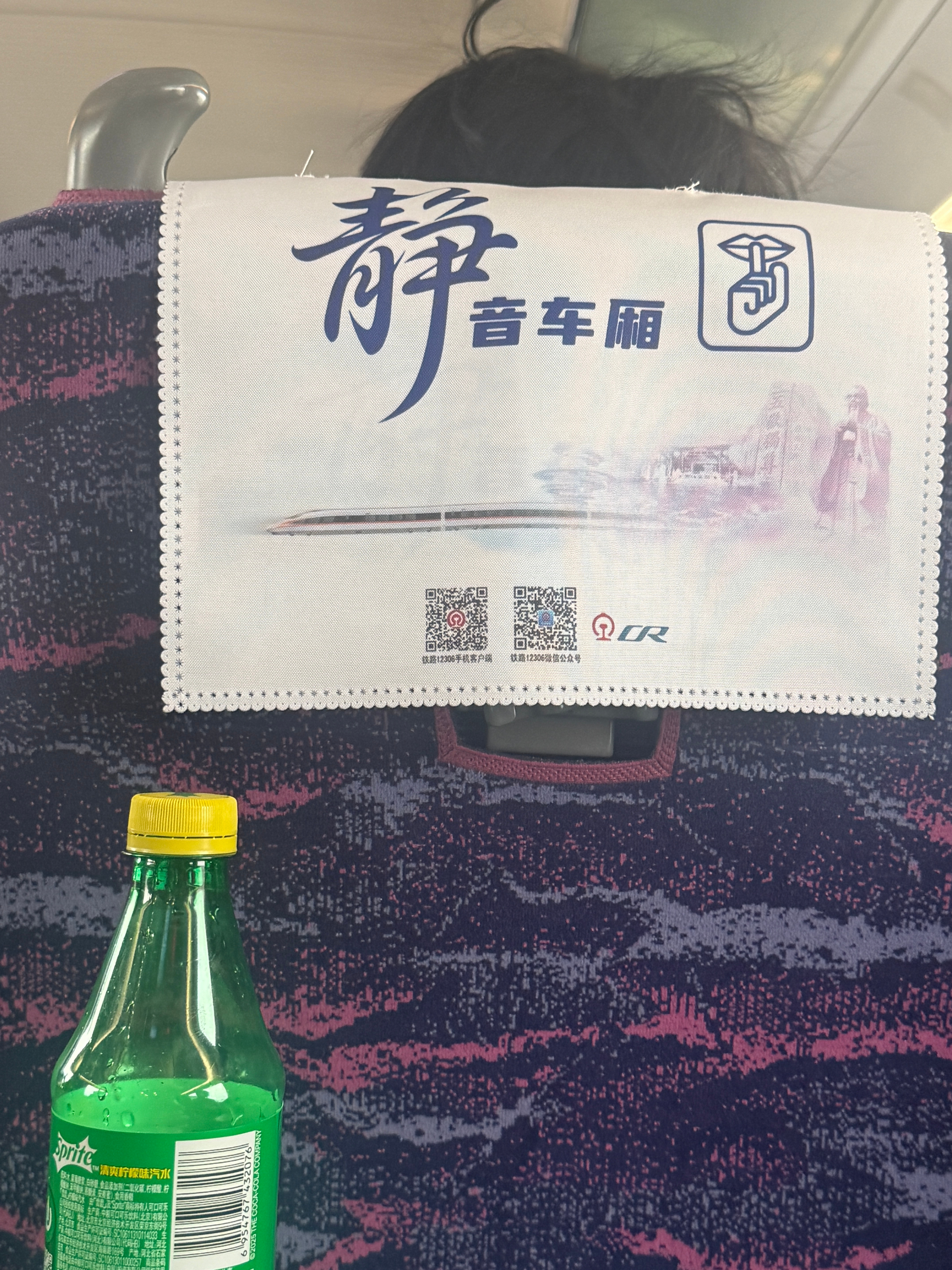 我将永远拥护静音车厢，没有哭闹的小孩，也没有大声说话外放视频的群体