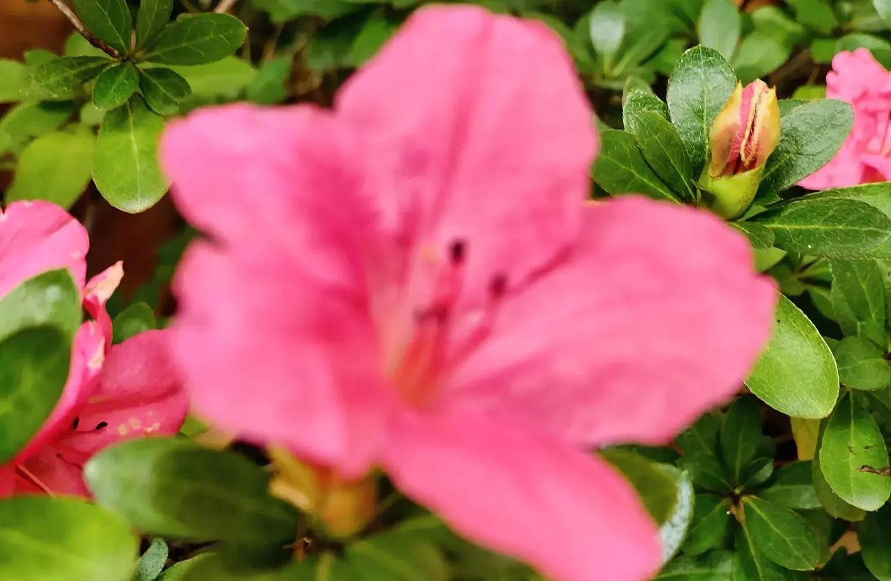 一年赚100块，手掌心炕豆腐？她的坚持值得尊敬吗？

在生活中，我们常常遇到这样