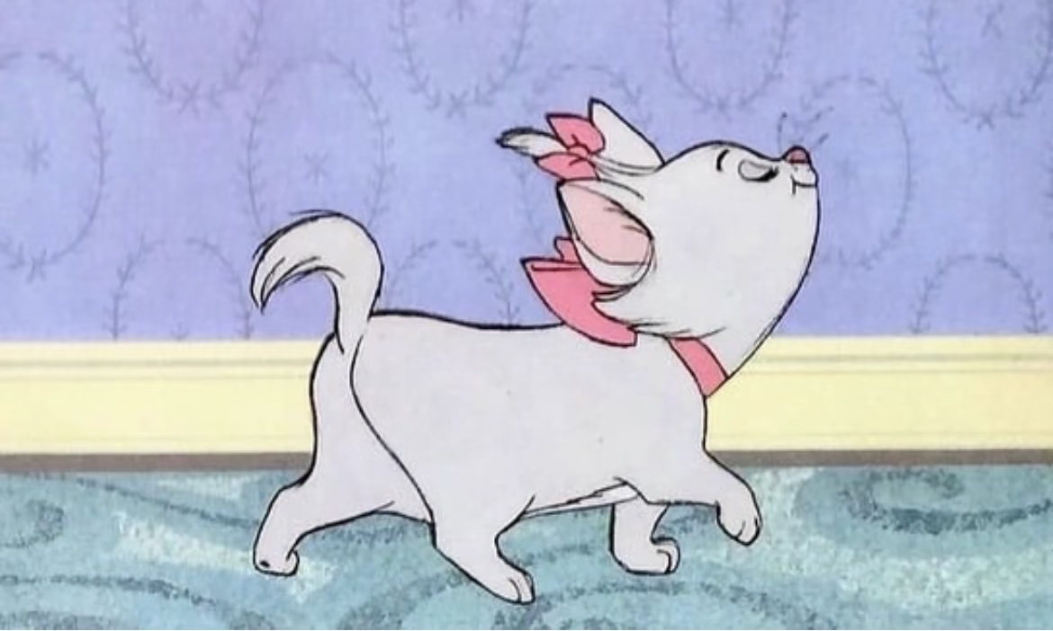 夸夸这只小猫 
