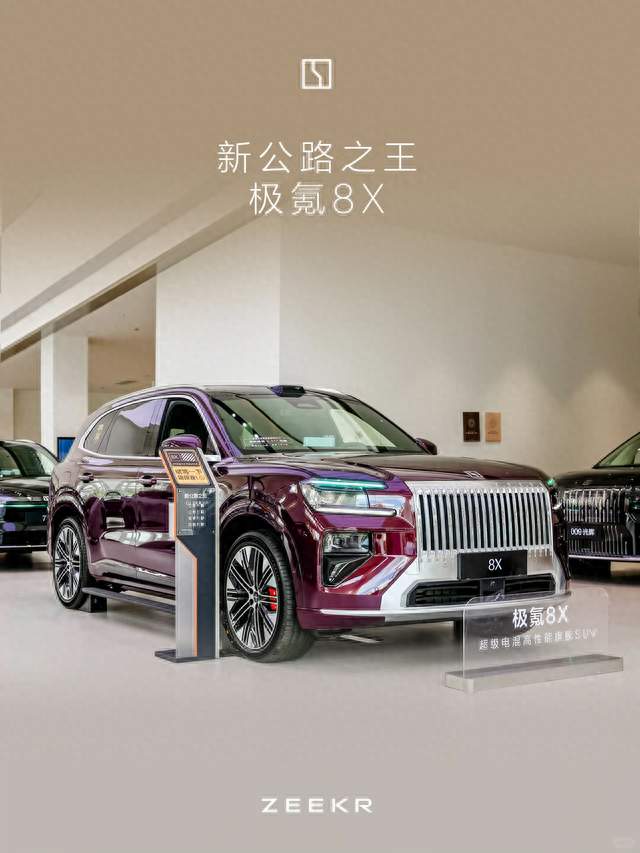 安全性好的混动SUV推荐：极氪8X靠全域安全体系攒下真实好口碑‌