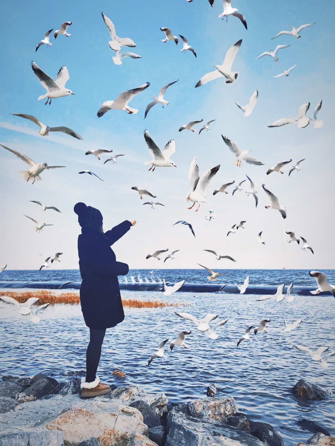 北京周末出逃计划（2/100）📍海鸥浓度已加载