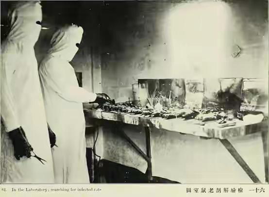 1910年—1911年，中国东北爆发了20世纪世界上最严重的一次流行性鼠疫

【