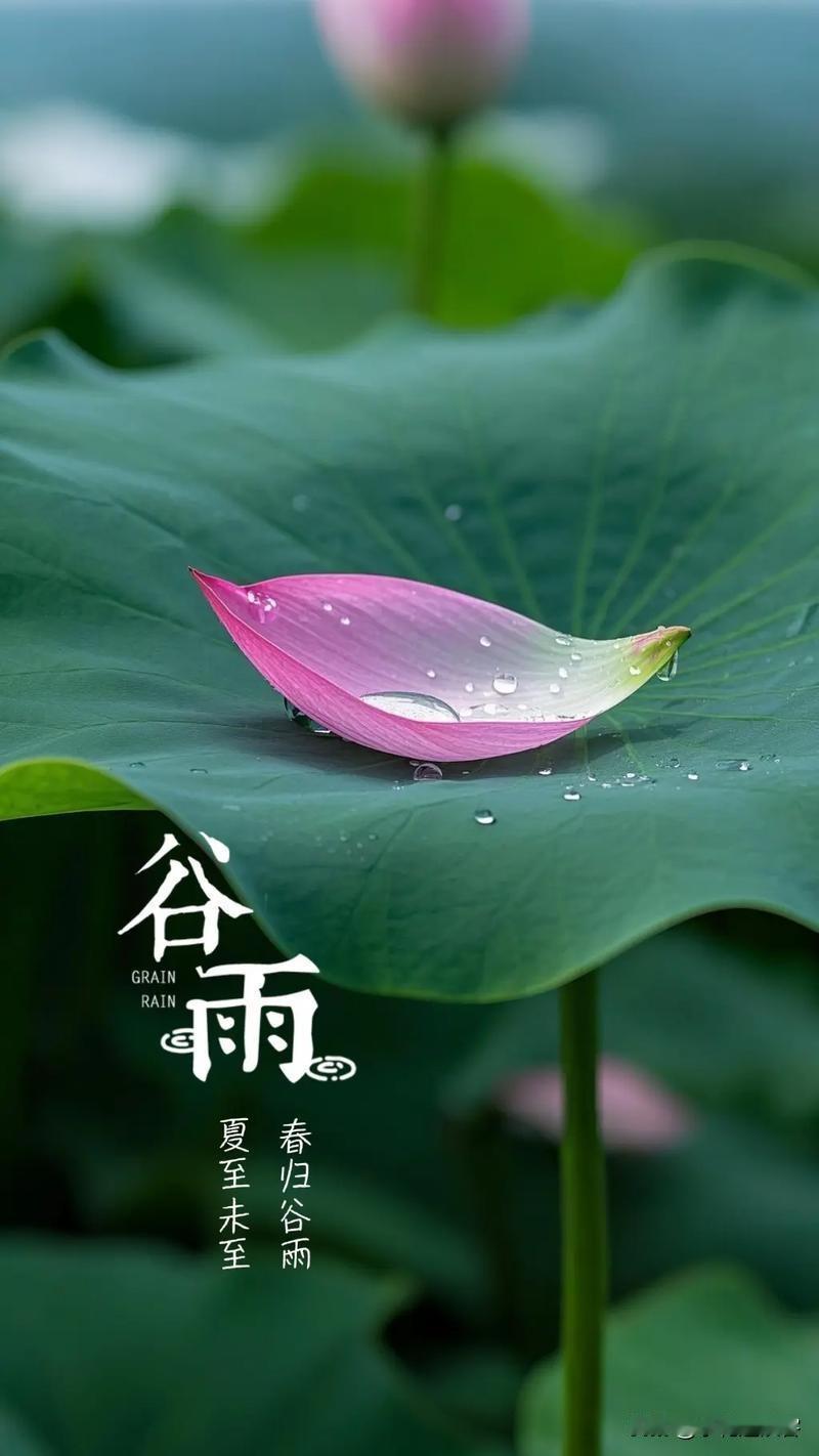 《谷雨题赠》
[微风][微风][微风]
贪看春光意未休，贪凉偷借水悠悠。
劝君莫