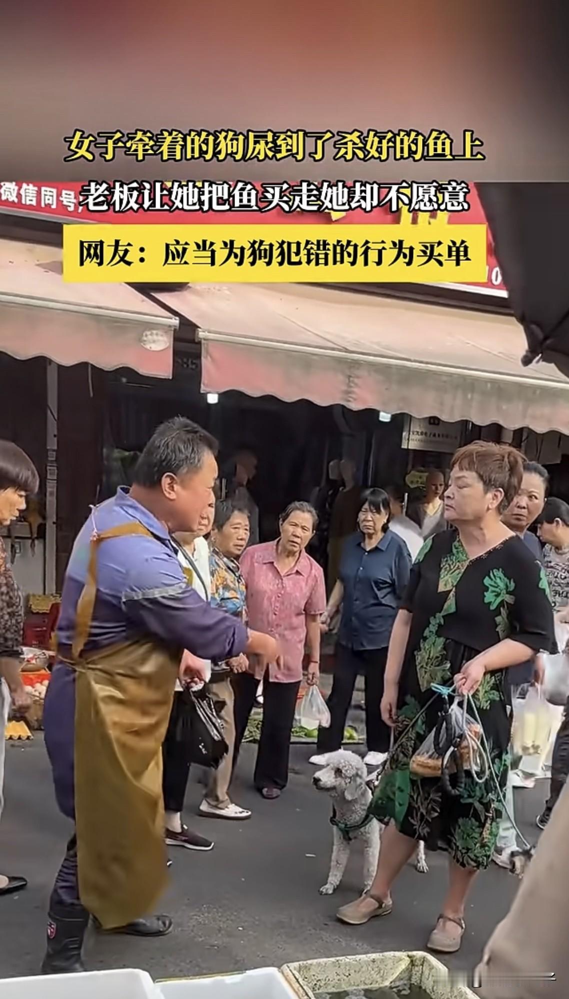 一泡狗尿引发的争吵。
9月16日，安徽一女子遛狗时，路过一卖鱼的摊位，结果狗狗直