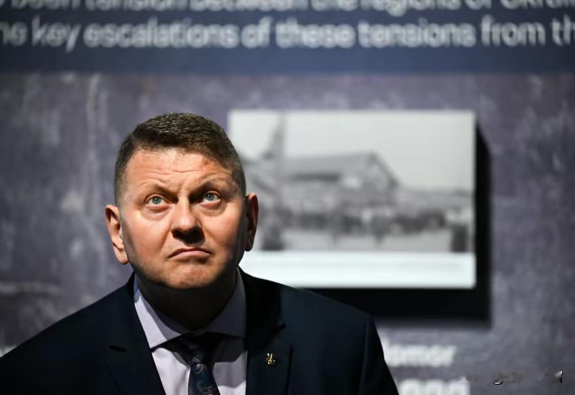 扎卢日内突然返回基辅，西方炒作泽连斯基近期可能离职，但扎卢日内抗俄比泽连斯基更加