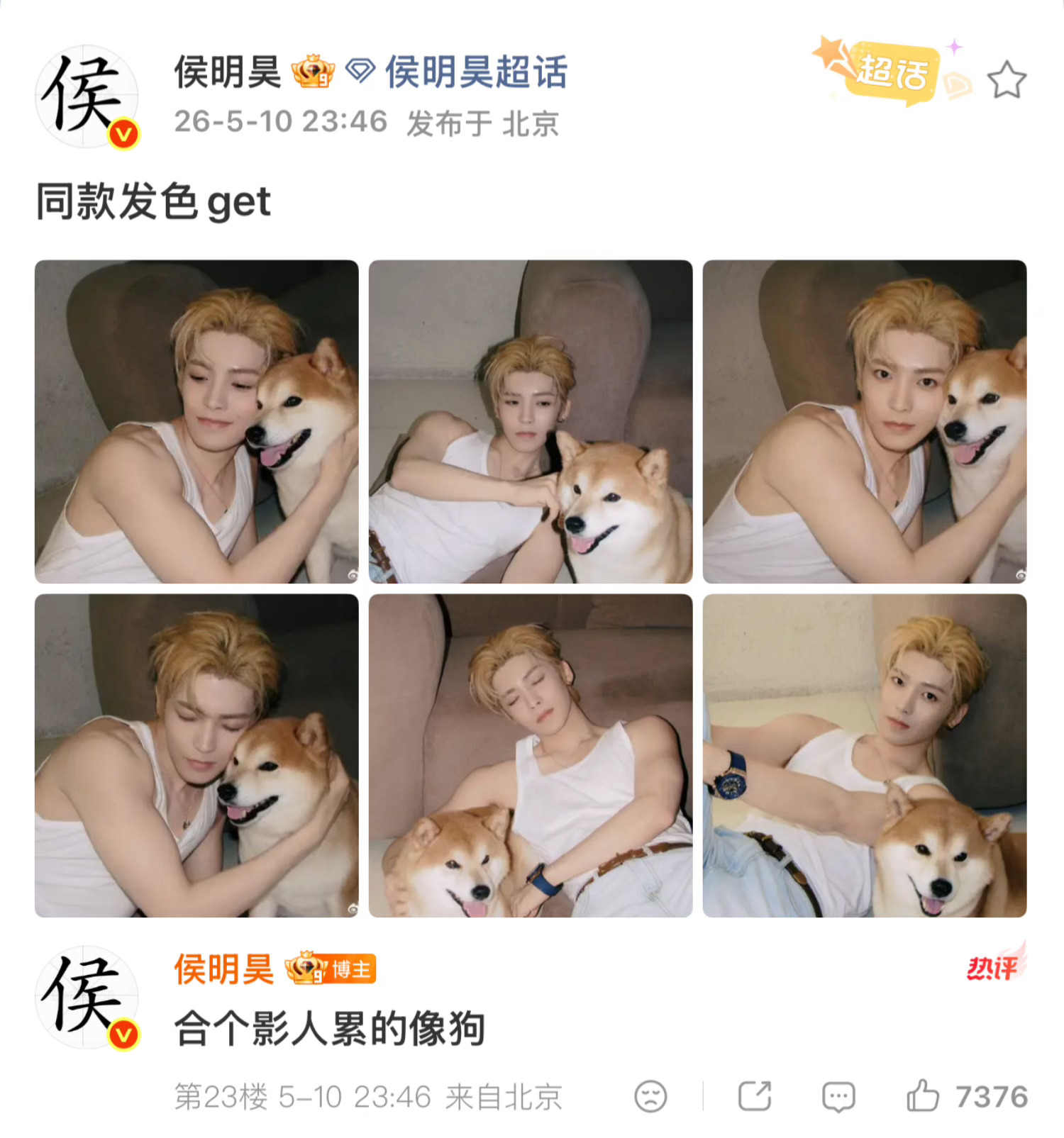 侯明昊累的像狗侯明昊和狗同款发色侯明昊和狗合完影：人累的像狗