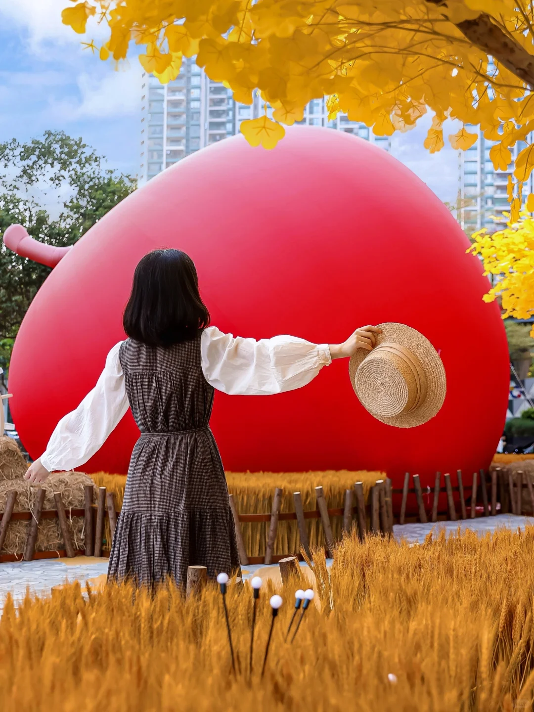 打卡深圳巨型苹果🍎麦田银杏一键入秋🍂